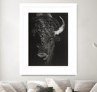 Black Glimpse I by Julie T. Chapman on GIANT ART - animals
