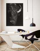 Black Glimpse I by Julie T. Chapman on GIANT ART - animals