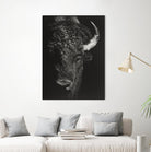 Black Glimpse I by Julie T. Chapman on GIANT ART - animals