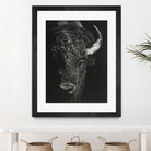 Black Glimpse I by Julie T. Chapman on GIANT ART - animals