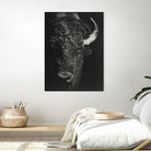 Black Glimpse I by Julie T. Chapman on GIANT ART - animals