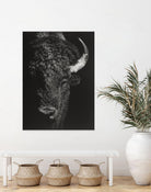 Black Glimpse I by Julie T. Chapman on GIANT ART - animals