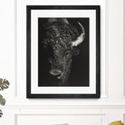 Black Glimpse I by Julie T. Chapman on GIANT ART - animals