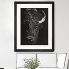 Black Glimpse I by Julie T. Chapman on GIANT ART - animals