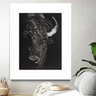 Black Glimpse I by Julie T. Chapman on GIANT ART - animals