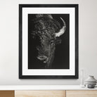 Black Glimpse I by Julie T. Chapman on GIANT ART - animals