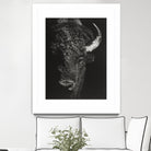 Black Glimpse I by Julie T. Chapman on GIANT ART - animals