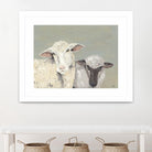 Sweet Lambs I by Jade Reynolds on GIANT ART - animals