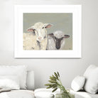 Sweet Lambs I by Jade Reynolds on GIANT ART - animals