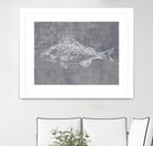 Like a Stone I by Melissa Wang on GIANT ART - animals