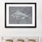 Like a Stone I by Melissa Wang on GIANT ART - animals