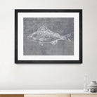 Like a Stone I by Melissa Wang on GIANT ART - animals