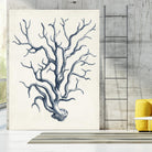 Coastal Collection in Indigo IV by Vision Studio on GIANT ART - blue tropical