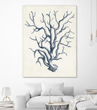 Coastal Collection in Indigo IV by Vision Studio on GIANT ART - blue tropical