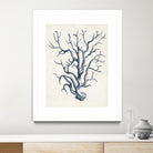 Coastal Collection in Indigo IV by Vision Studio on GIANT ART - blue tropical