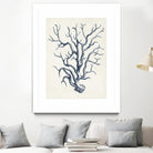 Coastal Collection in Indigo IV by Vision Studio on GIANT ART - blue tropical