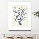 Coastal Collection in Indigo IV by Vision Studio on GIANT ART - blue tropical