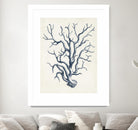 Coastal Collection in Indigo IV by Vision Studio on GIANT ART - blue tropical