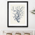 Coastal Collection in Indigo IV by Vision Studio on GIANT ART - blue tropical