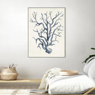 Coastal Collection in Indigo IV by Vision Studio on GIANT ART - blue tropical