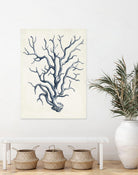 Coastal Collection in Indigo IV by Vision Studio on GIANT ART - blue tropical