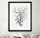 Coastal Collection in Indigo IV by Vision Studio on GIANT ART - blue tropical