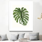 Tropical Breeze Leaves I by Naomi McCavitt on GIANT ART - green coastal & tropical greenery