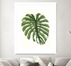 Tropical Breeze Leaves I by Naomi McCavitt on GIANT ART - green coastal & tropical greenery