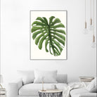 Tropical Breeze Leaves I by Naomi McCavitt on GIANT ART - green coastal & tropical greenery