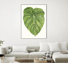 Tropical Breeze Leaves II by Naomi McCavitt on GIANT ART - green coastal & tropical leaves