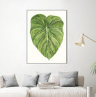 Tropical Breeze Leaves II by Naomi McCavitt on GIANT ART - green coastal & tropical leaves