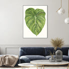 Tropical Breeze Leaves II by Naomi McCavitt on GIANT ART - green coastal & tropical leaves