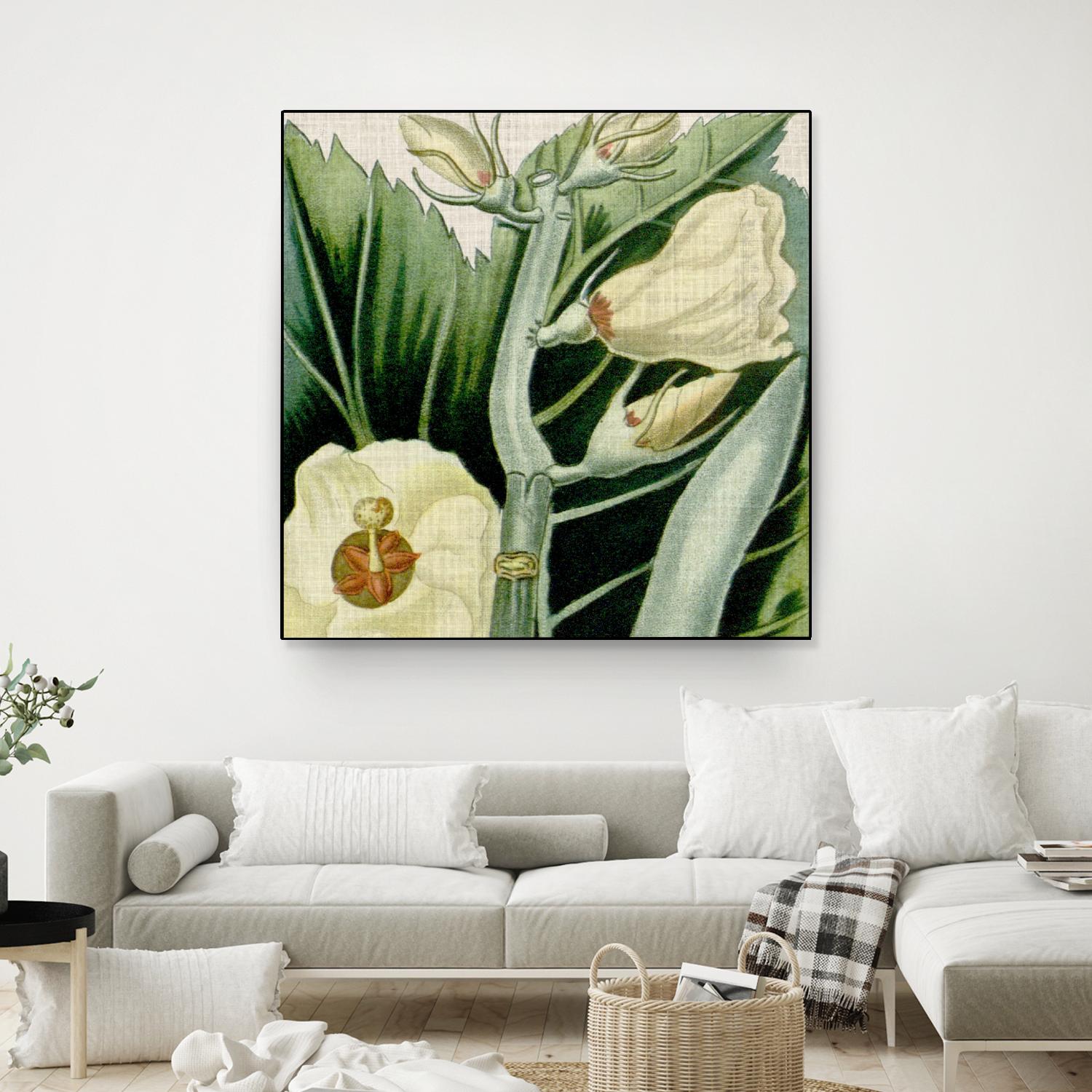 Cropped Turpin Tropicals III by Vision Studio on GIANT ART - botanical & floral