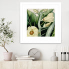 Cropped Turpin Tropicals III by Vision Studio on GIANT ART - botanical & floral