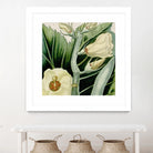 Cropped Turpin Tropicals III by Vision Studio on GIANT ART - botanical & floral