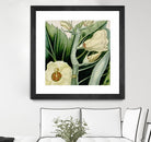 Cropped Turpin Tropicals III by Vision Studio on GIANT ART - botanical & floral