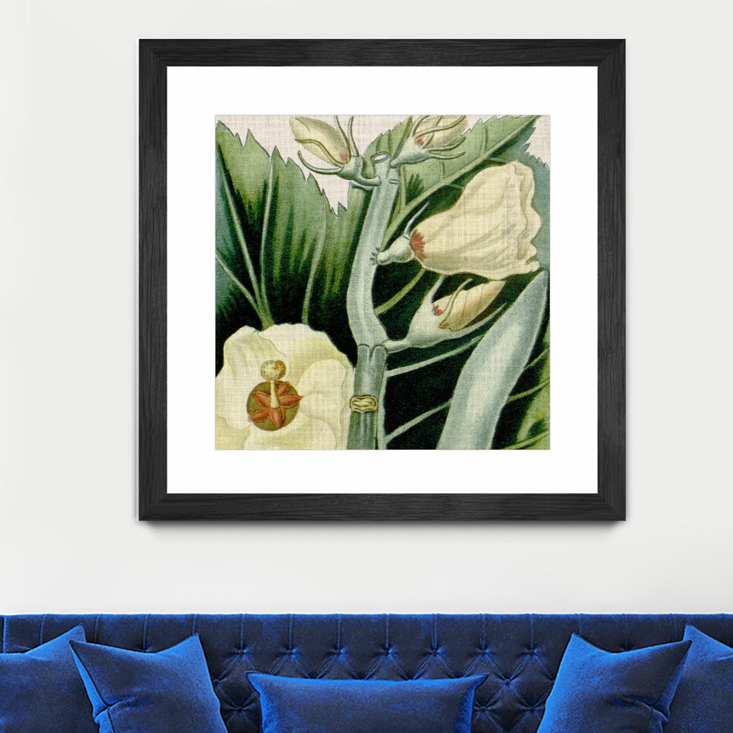 Cropped Turpin Tropicals III by Vision Studio on GIANT ART - botanical & floral