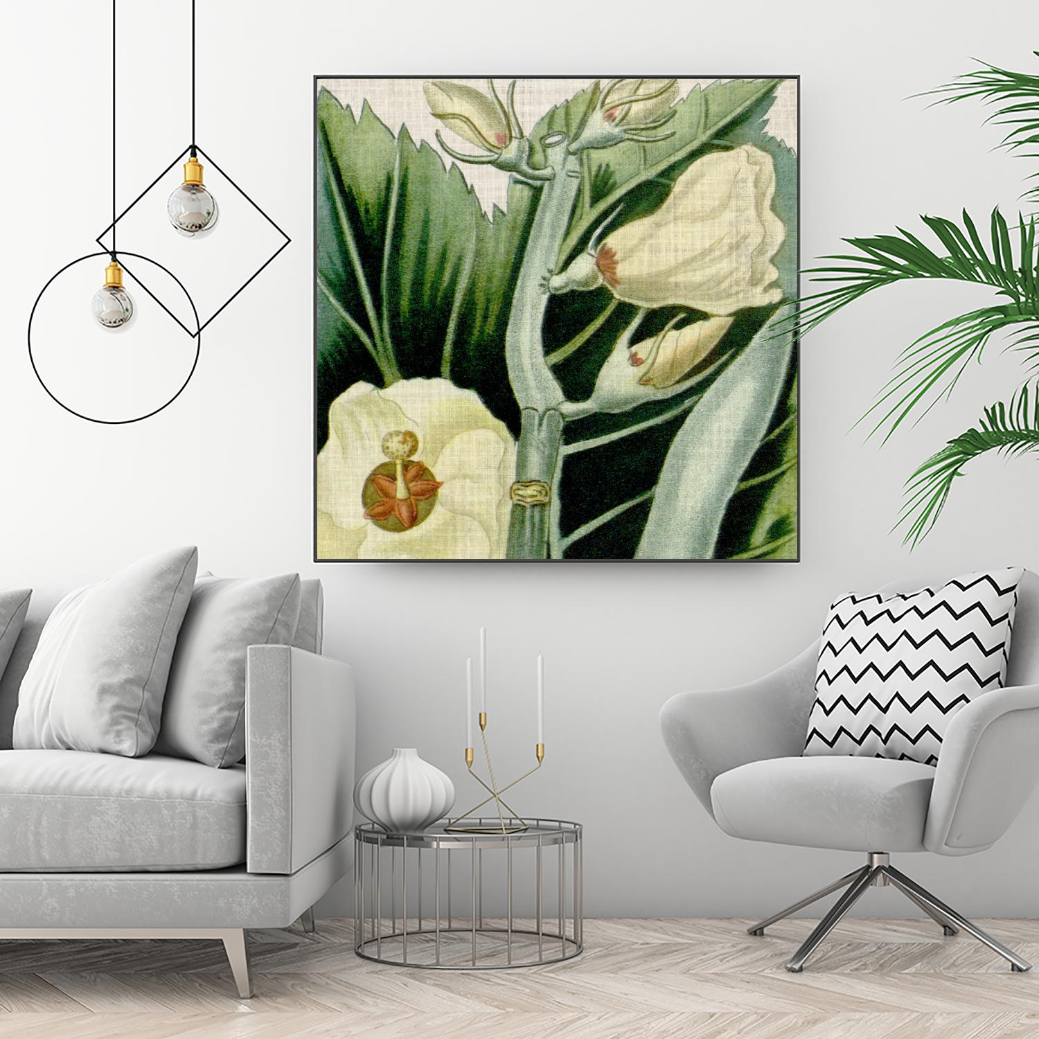 Cropped Turpin Tropicals III by Vision Studio on GIANT ART - botanical & floral