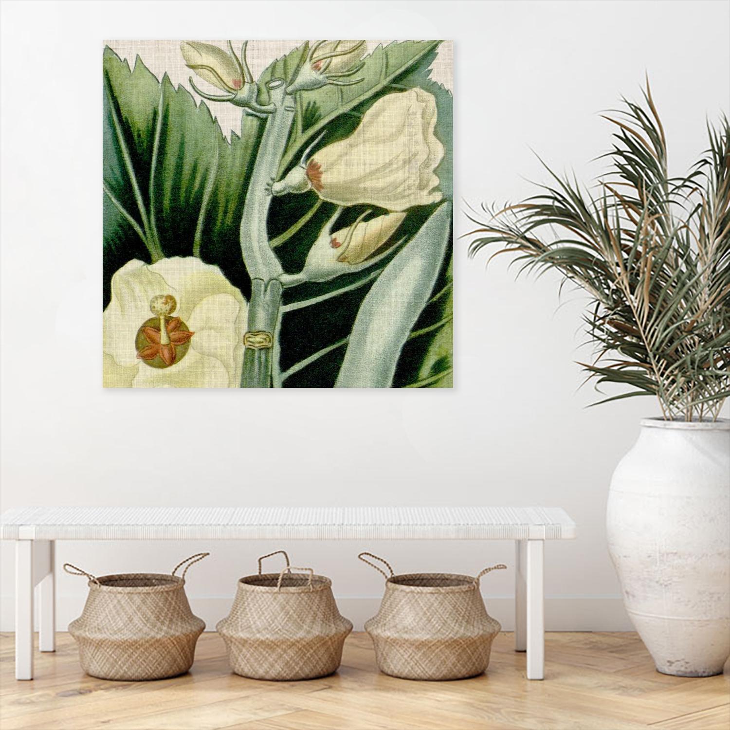 Cropped Turpin Tropicals III by Vision Studio on GIANT ART - botanical & floral