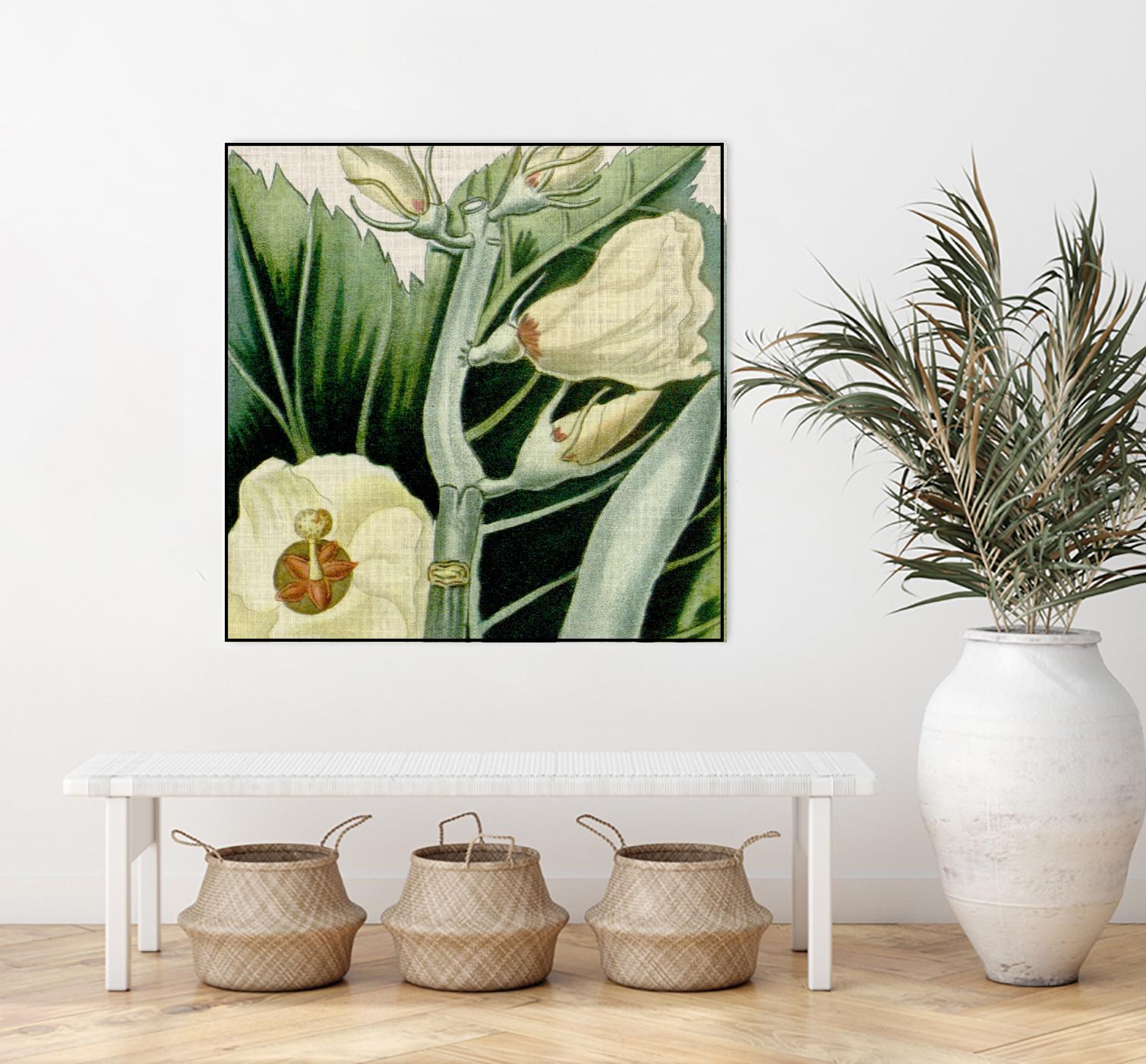 Cropped Turpin Tropicals III by Vision Studio on GIANT ART - botanical & floral