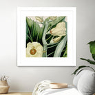Cropped Turpin Tropicals III by Vision Studio on GIANT ART - botanical & floral