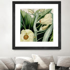 Cropped Turpin Tropicals III by Vision Studio on GIANT ART - botanical & floral