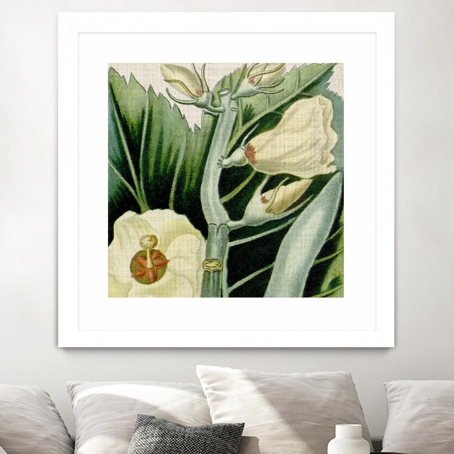 Cropped Turpin Tropicals III by Vision Studio on GIANT ART - botanical & floral