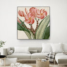 Cropped Turpin Tropicals VII by Vision Studio on GIANT ART - pink botanical & floral nature