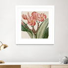 Cropped Turpin Tropicals VII by Vision Studio on GIANT ART - pink botanical & floral nature