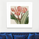 Cropped Turpin Tropicals VII by Vision Studio on GIANT ART - pink botanical & floral nature