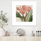 Cropped Turpin Tropicals VII by Vision Studio on GIANT ART - pink botanical & floral nature