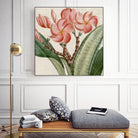 Cropped Turpin Tropicals VII by Vision Studio on GIANT ART - pink botanical & floral nature