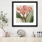Cropped Turpin Tropicals VII by Vision Studio on GIANT ART - pink botanical & floral nature