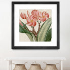 Cropped Turpin Tropicals VII by Vision Studio on GIANT ART - pink botanical & floral nature